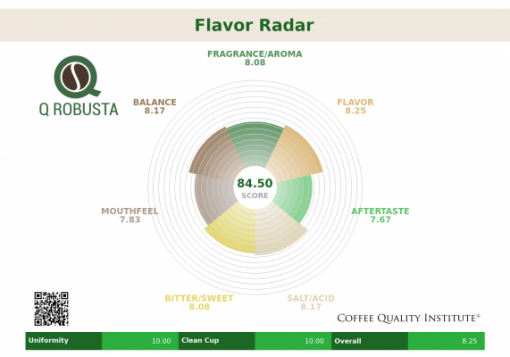 The board reviews the quality of Fine Robusta certified by CQI